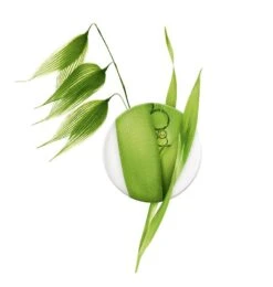 A Derma A-Derma Exomega Control Gel Detergente Emolliente Pelle Secca A Tendenza Atopica 200ml -NEGOZIO ROGER E GALLET a derma exomega control gel detergente emolliente pelle secca a tendenza atopica 200ml 5 1637850894