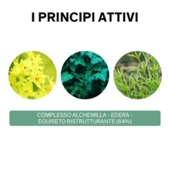 Lierac Phytolastil Fiale Correzione Smagliature 20 X 5 Ml -NEGOZIO ROGER E GALLET lierac phytolastil favorisce la regressione delle smagliature 20 fiale 3 1608593724